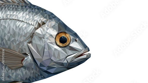 Geometric fish art with polygon design on white background
