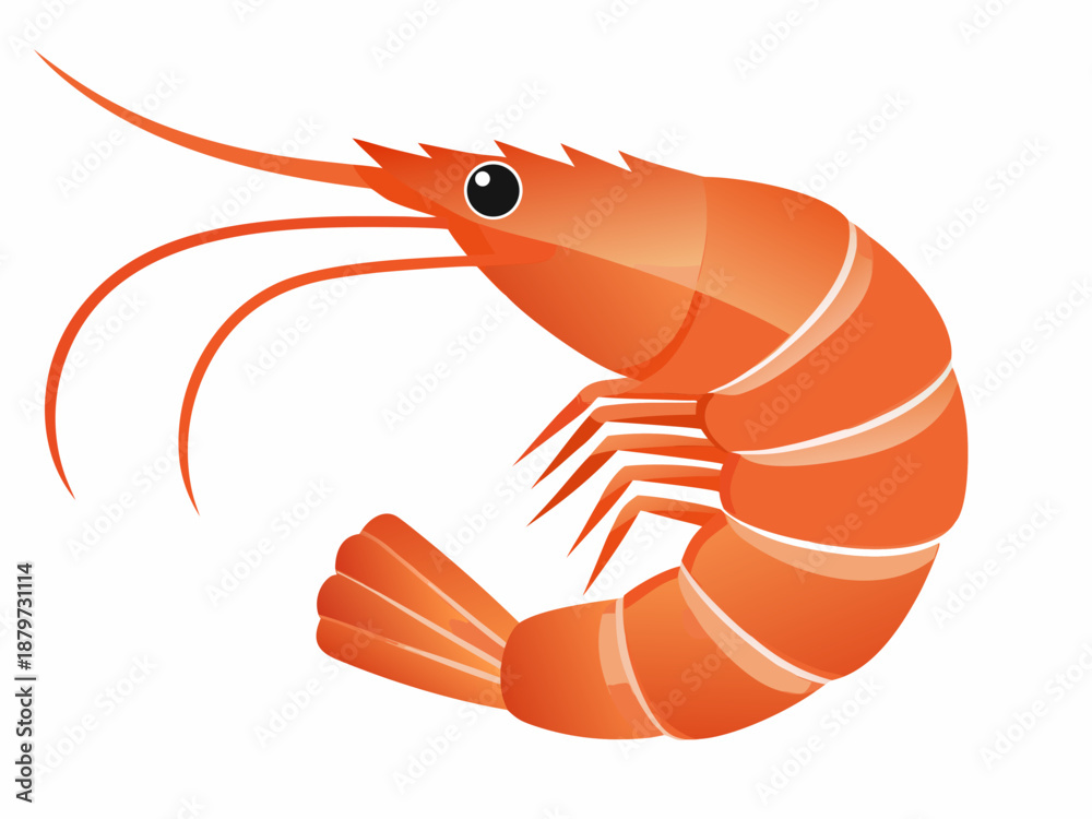 Obraz premium a vibrant orange shrimp with long antennae and a curved body