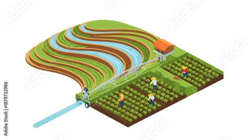 Isometric farming scene with workers and irrigation on terraced fields