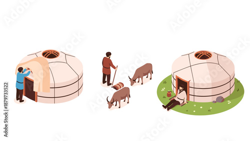 Traditional nomadic life with yurts and oxen in isometric design