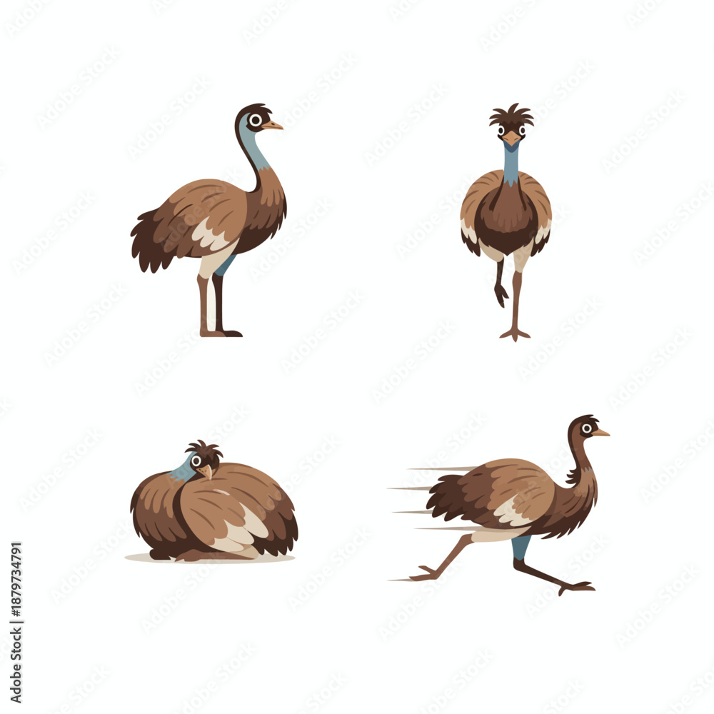 Obraz premium Emu: The Unique Flightless Bird of Australia