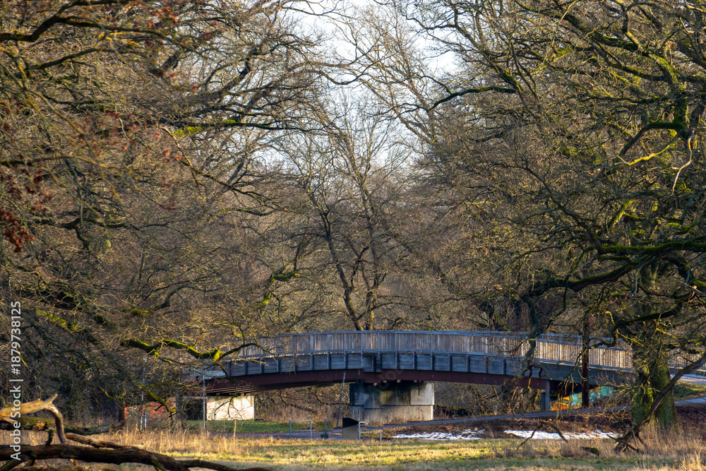 Fototapeta premium Dessau, Germany. 01.17.2026 Wooden Pedestrian Bridge in a Winter Forest in Dessau
