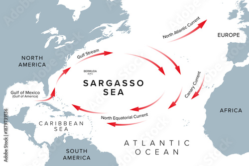 Sargasso Sea, region of Atlantic Ocean, gray map. Sea without land boundaries and ocean gyre, formed and bounded by Gulf Stream, North Atlantic Current, Canary Current, and North Equatorial Current.
