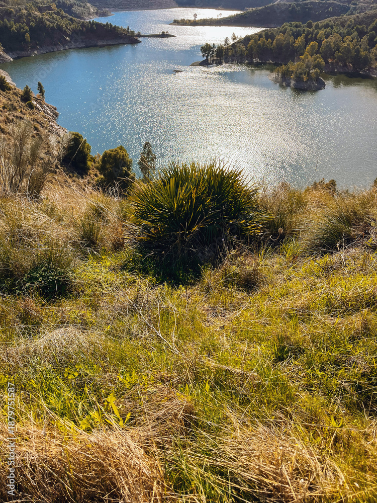 Naklejka premium Overlooking resevoir from a slope with grasses, green plants and trees on a sunny day. Andalusia, Spain.
