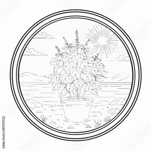 Tulsi tree coloring book page design.