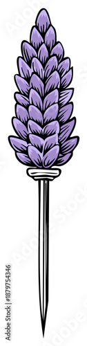 Hand drawn vector illustration of a single lavender flower spike with purple petals