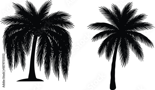 Black silhouette illustration of two palm trees with varied trunk and frond styles—ideal for tropical themes, botanical design, landscape art, and nature visuals.
