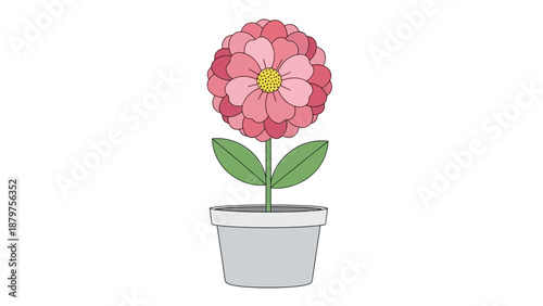 pink flower in a pot