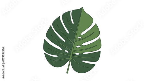 taro leaves