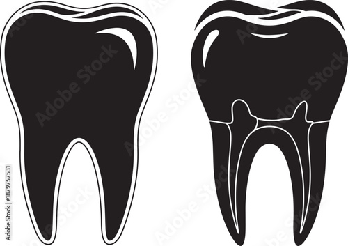 Clean Vector Silhouette of a Healthy Human Tooth for Dentistry and Oral Hygiene Promotion