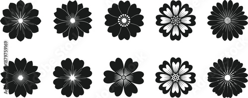 Collection of ten stylized black and white floral silhouette icons showcasing various petal shapes and center details perfect for graphic design projects and natural motifs
