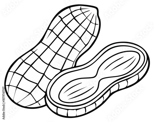 Outline of peanuts shelled and in shell