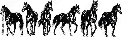 Black horse silhouettes set in dynamic poses, running and walking stallions isolated on white background, detailed vector illustrations for logos, tattoos, branding, and design use