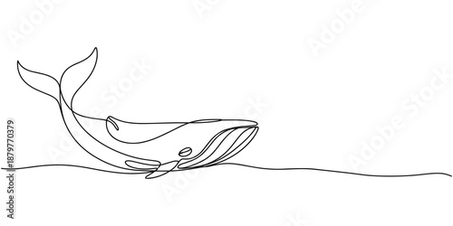 Whale tail drawing by one continuous line, blue whale drawing by one continuous line, Print Continuous one line drawing of orca whale. One line drawing illustration of whale killer fish.