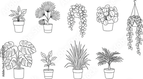 Collection of Hand Drawn Potted Houseplant Line Art Illustrations Featuring Monstera Palm and Succulent Varieties Isolated on White Background for Interior Decor Graphics