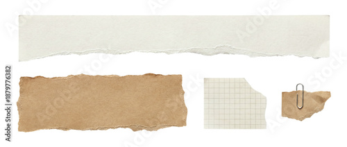 Collection of mixed torn paper pieces including white paper strip, kraft paper, grid note and small scrap with paperclip on transparent background