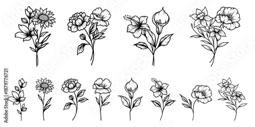 Set of detailed various flowers and foliage, intricate details and delicate forms. Hand drawn vector illustration with elegant botanical elements for invitation, save the date card