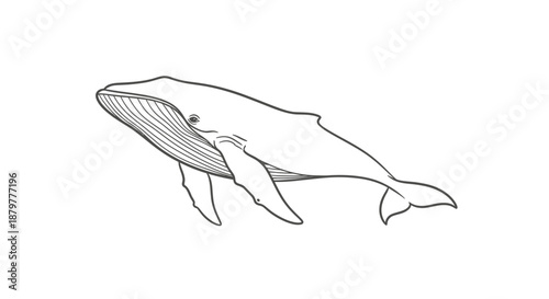 vector illustration of an abstract background