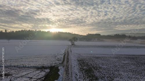 Switzerland countryside in the foggy morning in the snow field