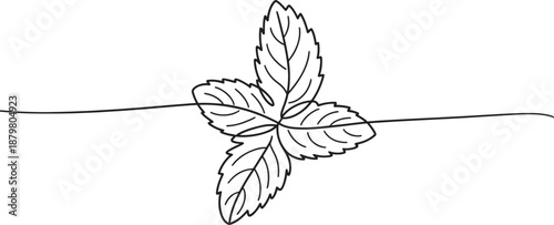 Mint leaves line icon banner, fresh herb organic tea aroma concept minimalist outline design