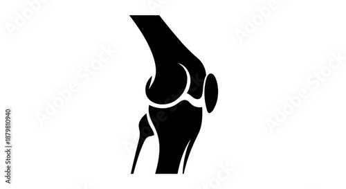 Knee Joint Anatomy Black and White Medical Illustration.