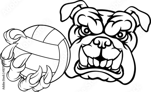 A bulldog dog volleyball an...