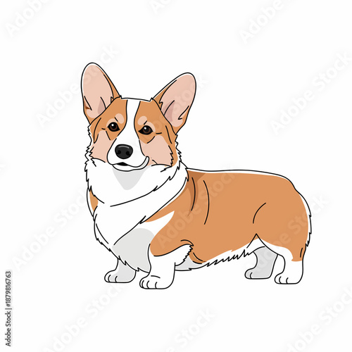 Cute cartoon illustration of a Pembroke Welsh Corgi dog standing with a friendly expression.