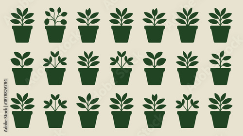 Collection of potted plants