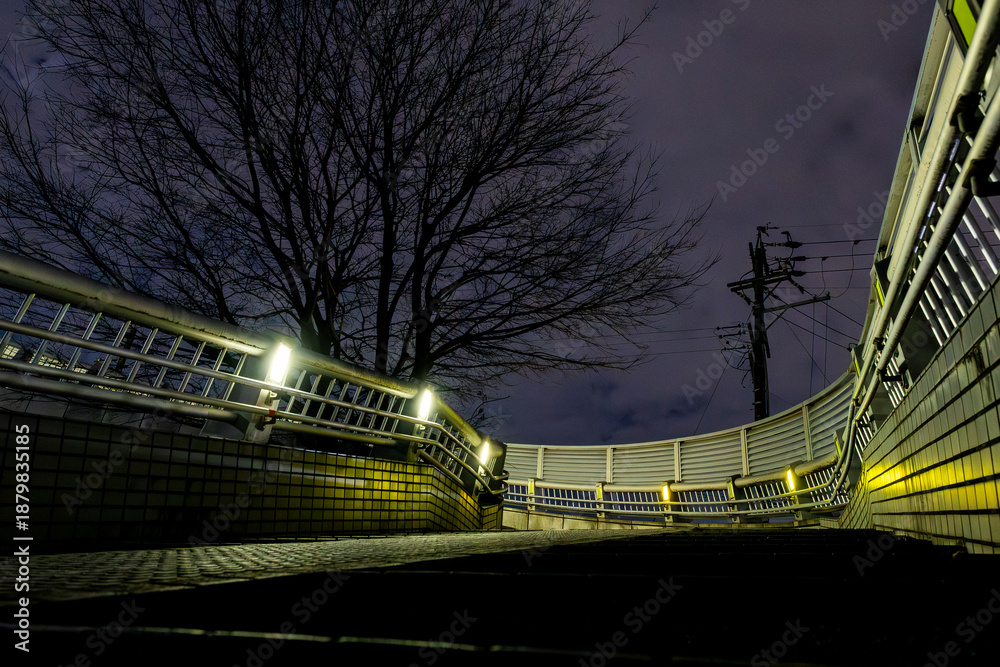 Fototapeta premium 夜の街