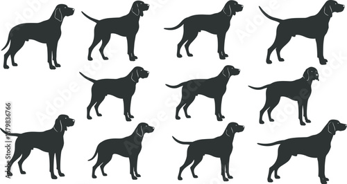 Collection of dog silhouettes in standing poses with varied tail and leg positions arranged in grid for pet design illustration