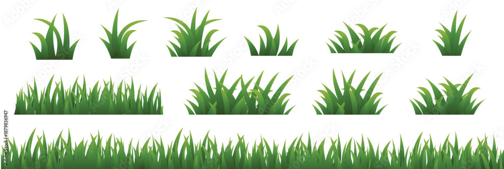 Obraz premium set of green grass
