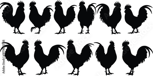 Collection of Black Rooster Silhouettes and Male Chicken Vector Icons Isolated on White Background for Farm Animal Graphics, Poultry Farming Logos, and Rural Design Elements