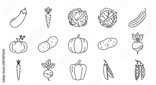 Set of fifteen simple line icons of vegetables like eggplant, carrot, cabbage, pumpkin, and peas for healthy food and menu design.
