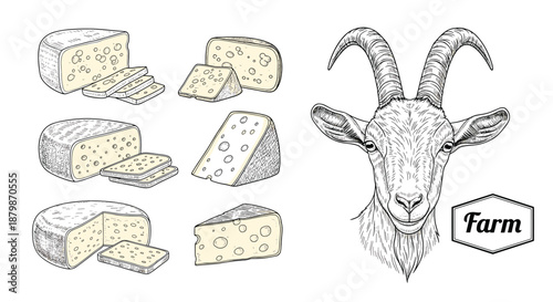 Detailed goat head portrait next to various types of goat cheese wheels and slices, highlighting fresh organic farm-to-table products.