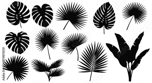 Tropical leaf silhouettes including monstera and various palm fronds isolated on a white background for summer design projects and decorations.