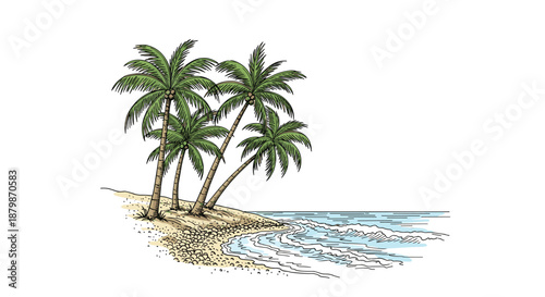 Scenic sketch of tall palm trees growing on a tropical sandy beach with gentle blue waves washing ashore under a clear summer sky.