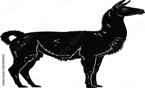 Single Llama Silhouette Vector Graphic Featuring Elegant Standing Pose for South American Wildlife Theme Andean Animal Icon Isolated on White Background for Farm Nature Design