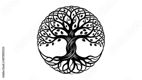 Celtic yggdrasil tree of life symbol vector illustration