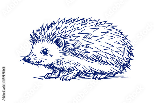 Blue sketch of a cute hedgehog with spiky quills on white background
