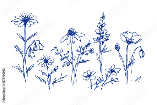 Blue botanical line art featuring wildflowers and daisies