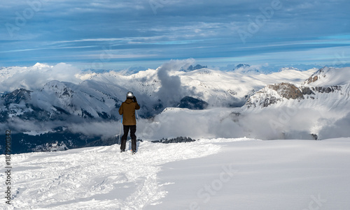 The European roe deer (Capreolus capreolus) In Vancouver island forest
