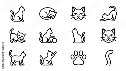 Fototapeta Set of 12 cat and feline line icons. Minimalist vector style. Cute kitty pet silhouette. Domestic kitten symbol. Animal paw tail outline. Linear logo graphic. Uniform stroke width.