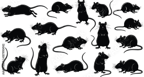 Black rat silhouette collection featuring various rodent poses like running jumping standing and crawling isolated on white background for pest control and wildlife design