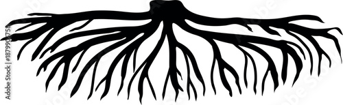 Black silhouette of root isolated on white background