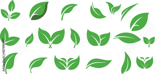 Vector set of green leaf icons on isolated background, collection of leaf elements for natural, eco, vegan and bio labels eps 