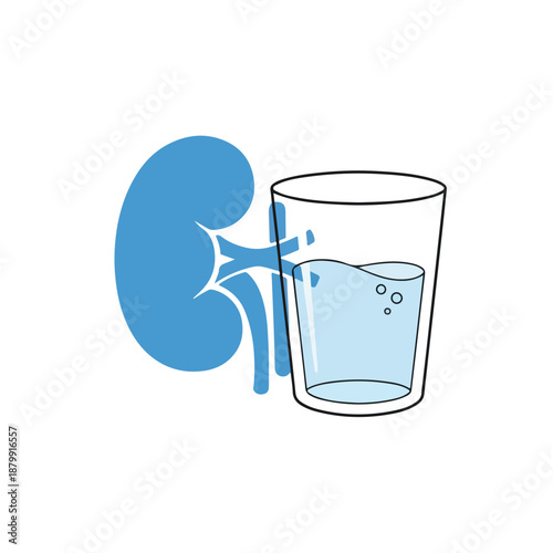 Kidney and Glass of Watercloseup