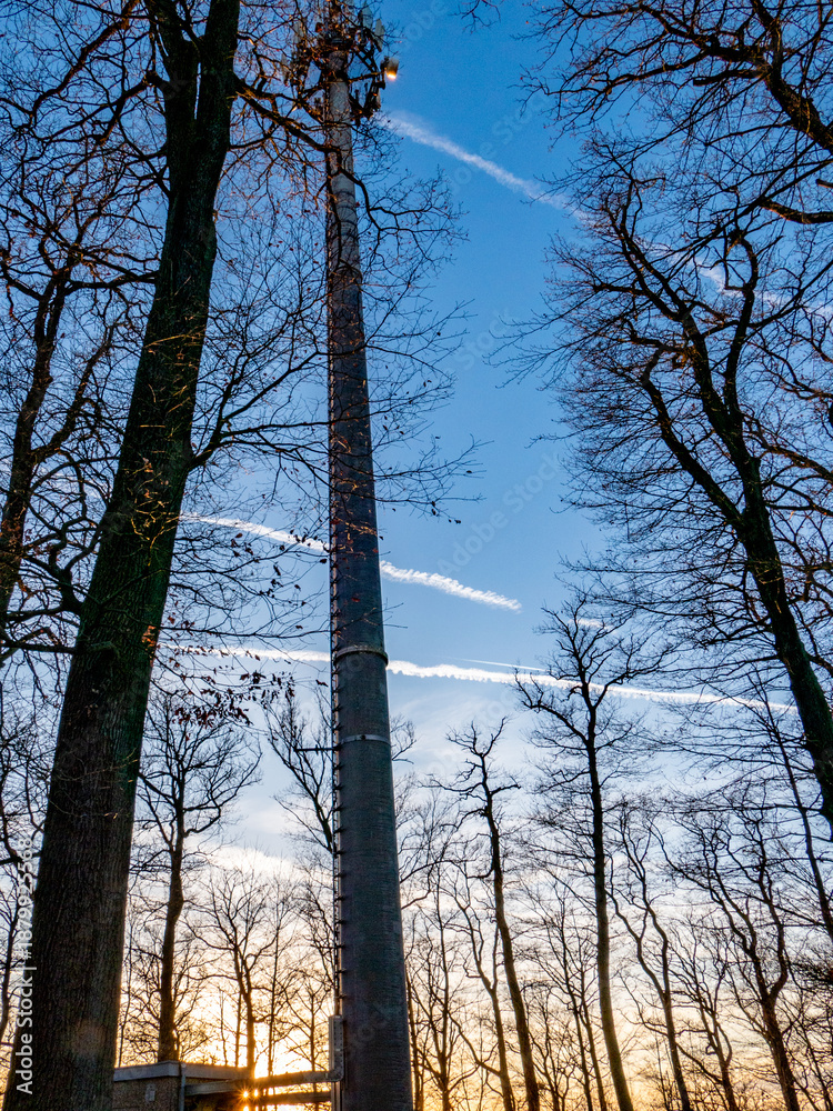 Fototapeta premium Funk und Sendemast im Wald