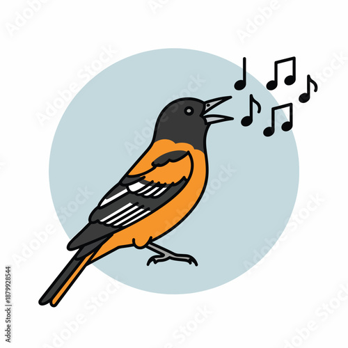 Singing Baltimore Oriole