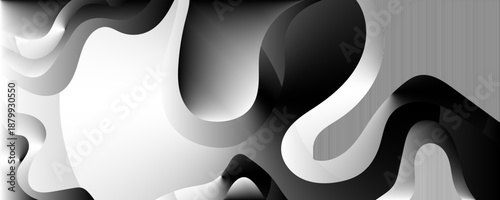 Abstract black and white image of curves.