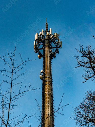 Funk und Sendemast im Wald